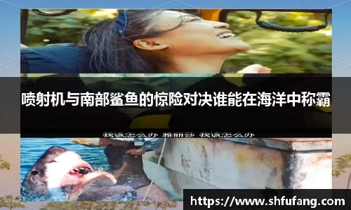 喷射机与南部鲨鱼的惊险对决谁能在海洋中称霸